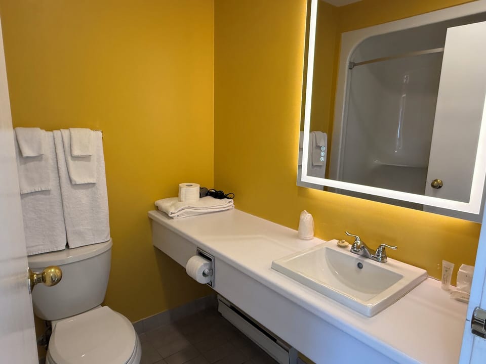 Room, 2 Double Beds (No Pets) | Bathroom | Combined shower/tub, free toiletries, hair dryer, towels
