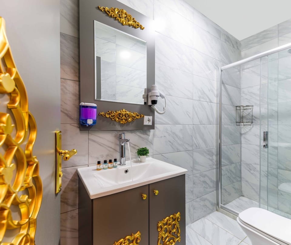 Shower, hydromassage showerhead, designer toiletries, hair dryer