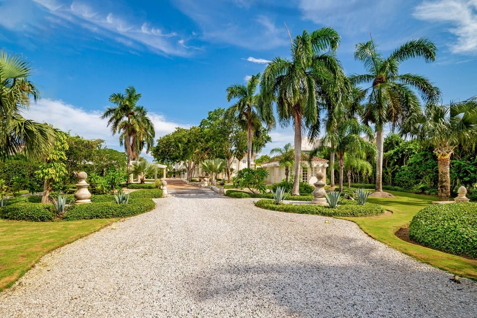 Garden view