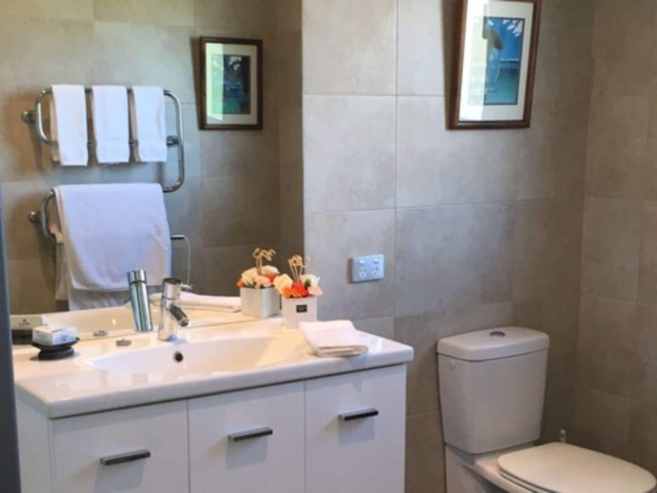 Shower, hair dryer, bathrobes, towels