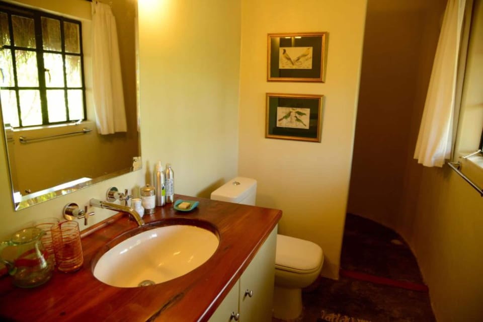 Combined shower/tub, towels