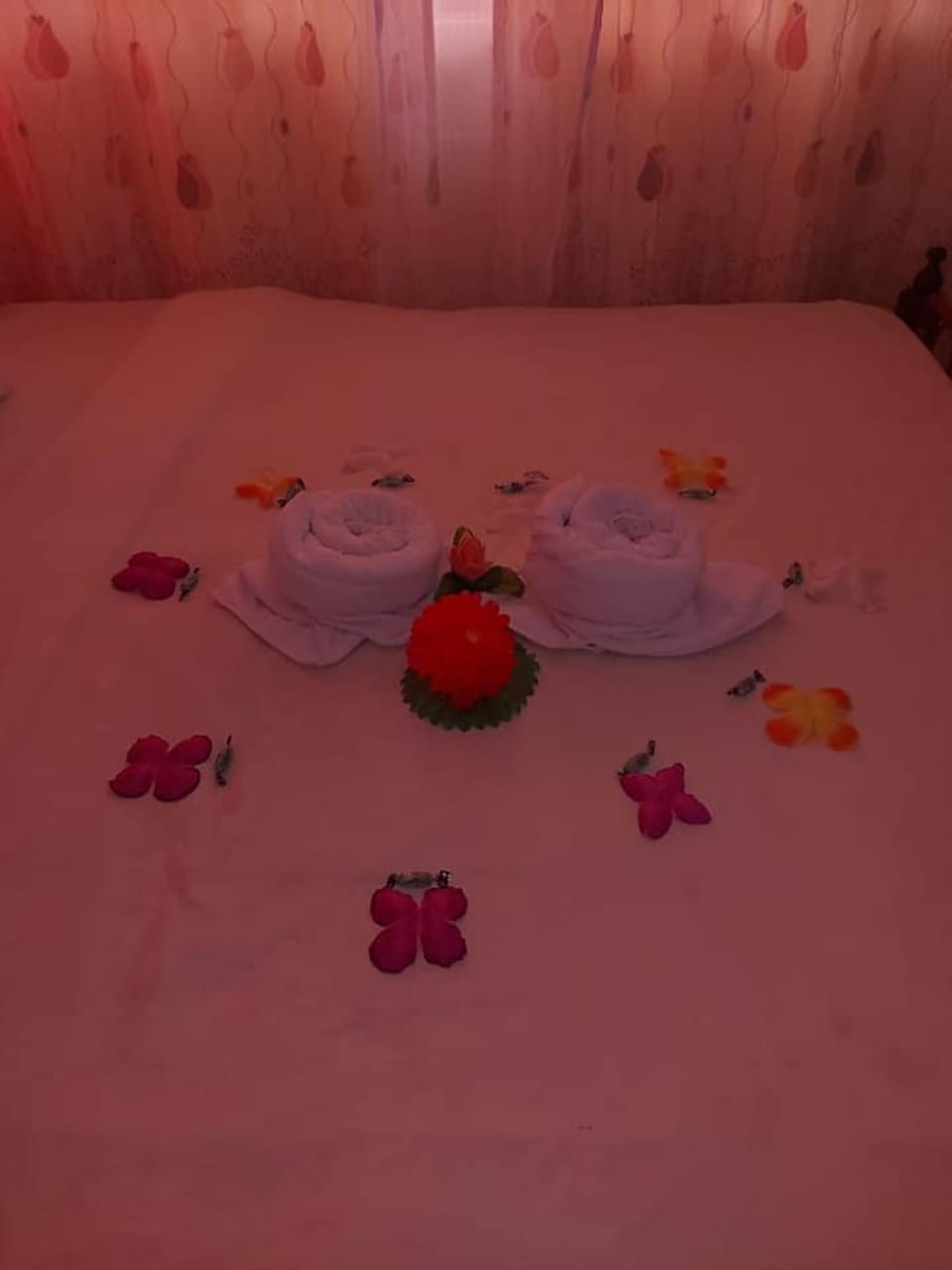 Executive Room | Bed sheets