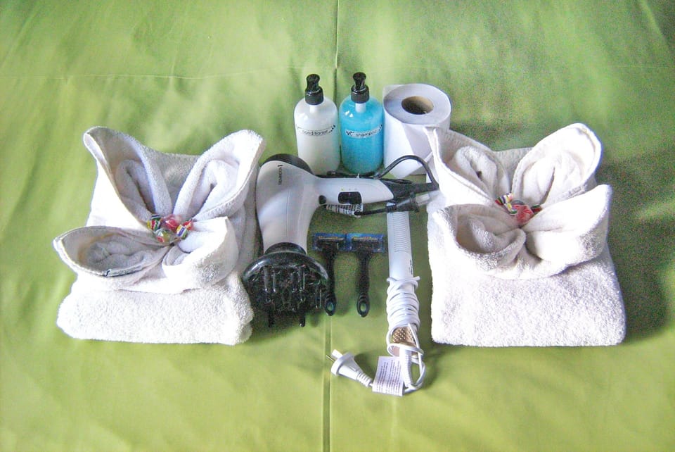 Shower, hair dryer, bidet, towels