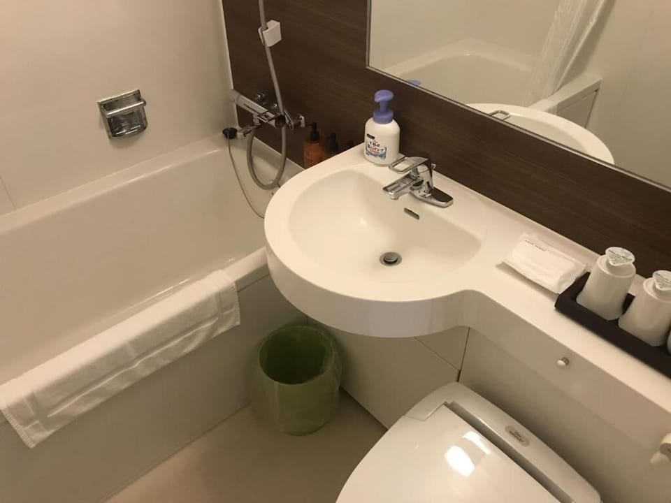 Free toiletries, hair dryer, slippers, bidet