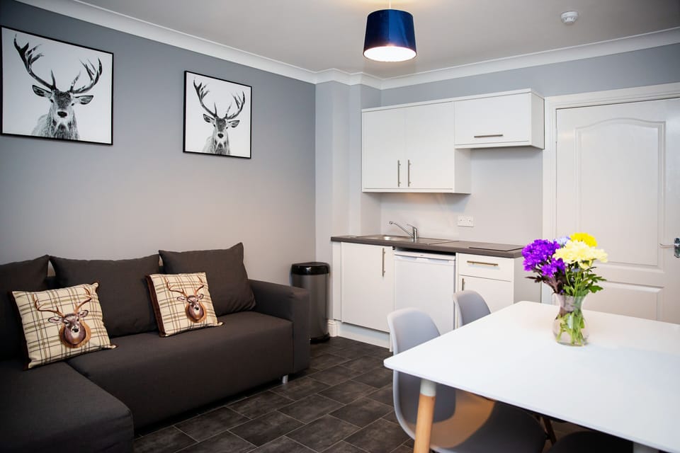 Apartment | Blackout drapes, iron/ironing board, free WiFi, bed sheets