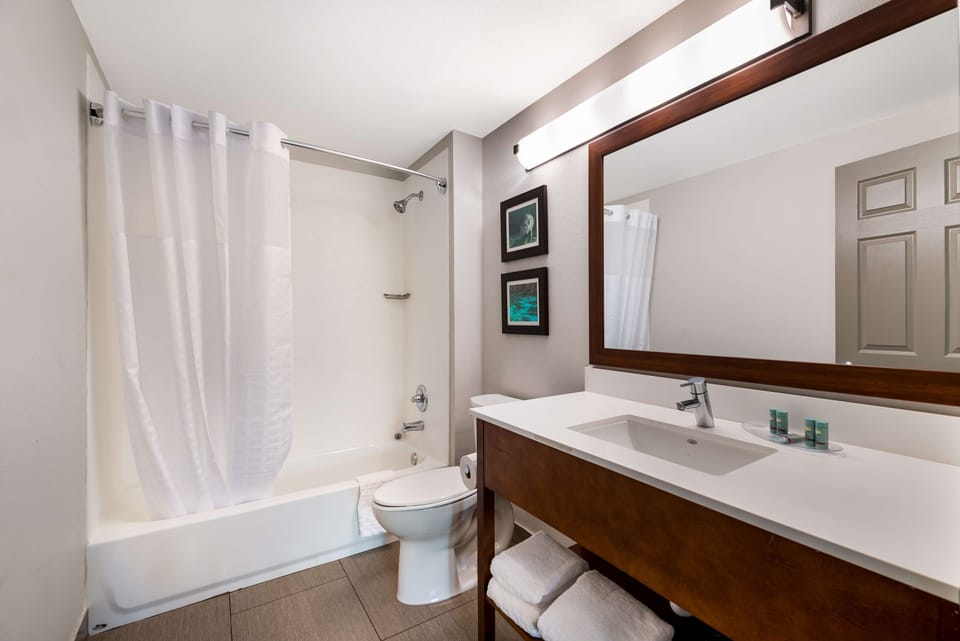 Hair dryer, towels, soap, shampoo