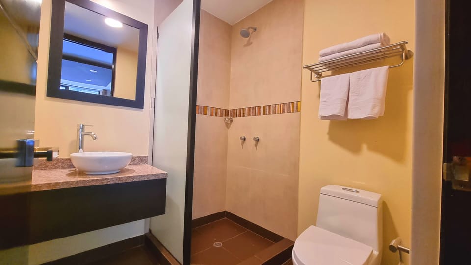 Shower, rainfall showerhead, hair dryer (on request), towels