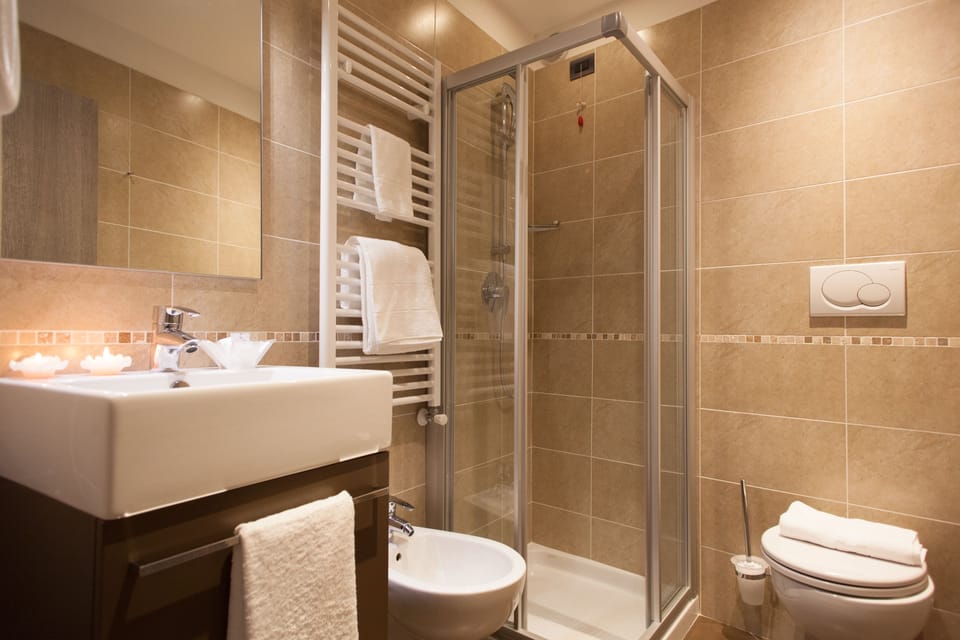 Shower, hair dryer, bidet, towels