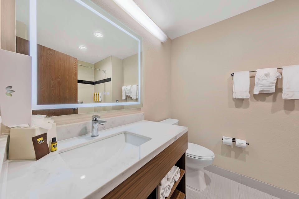 Suite, 1 King Bed, Non Smoking, Jetted Tub (with Sofabed) | Bathroom | Combined shower/tub, free toiletries, hair dryer, towels