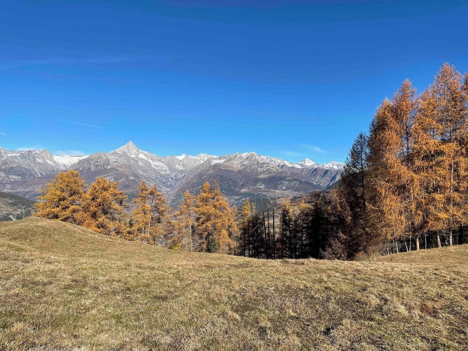 Apartment, 2 Bedrooms, Accessible, Patio | View from property