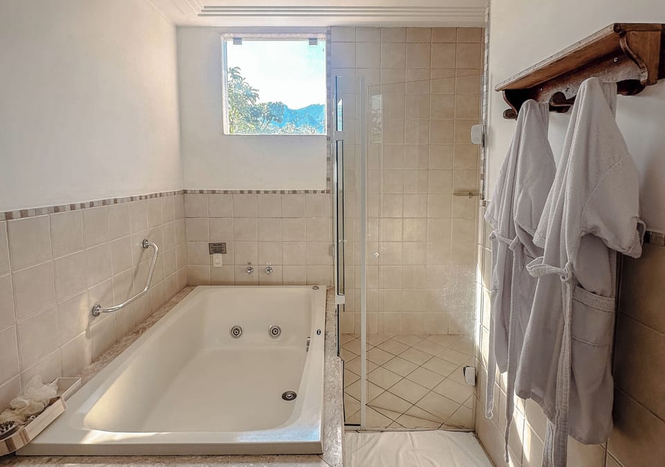 Suíte Deluxe | Minibar, laptop workspace, iron/ironing board, free WiFi