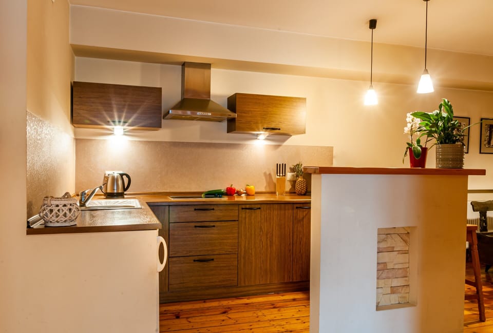 Apartment | Private kitchen | Fridge, stovetop, cookware/dishes/utensils, freezer