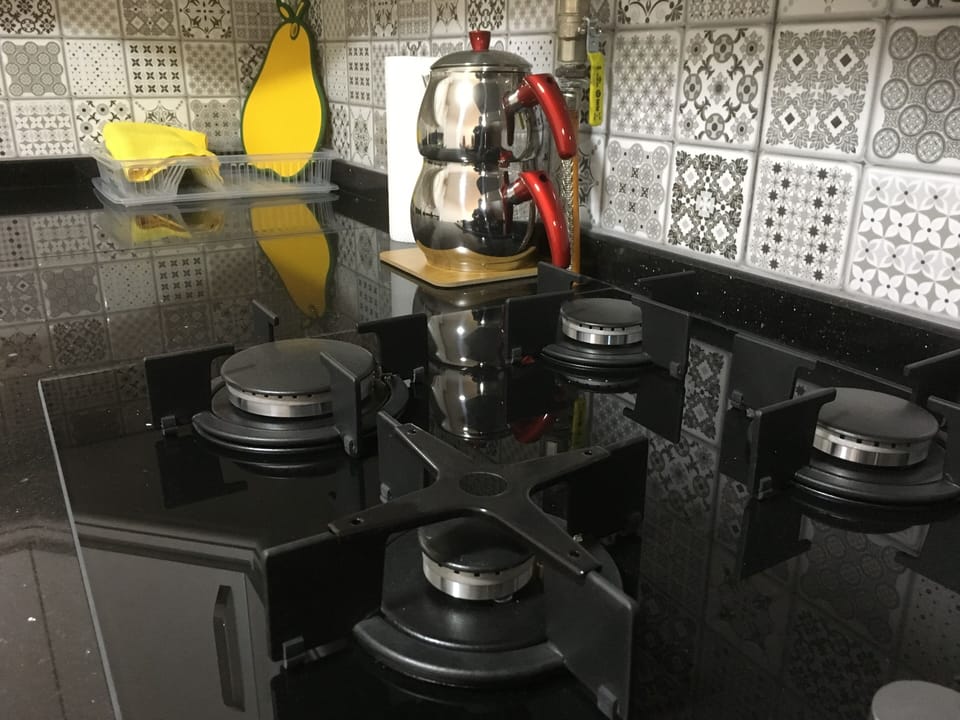 Full-size fridge, oven, stovetop, dishwasher