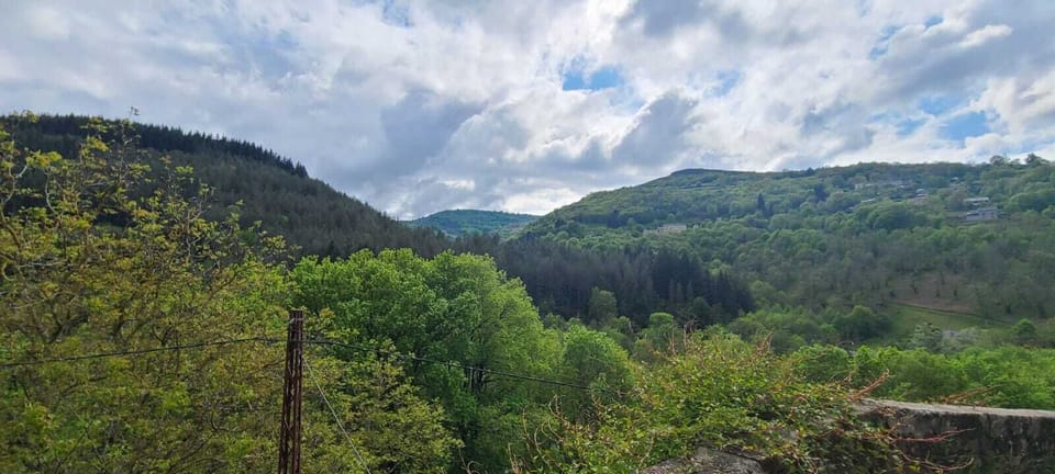 Comfort Cottage, Ensuite, Mountain View (Ciboulette) | View from property