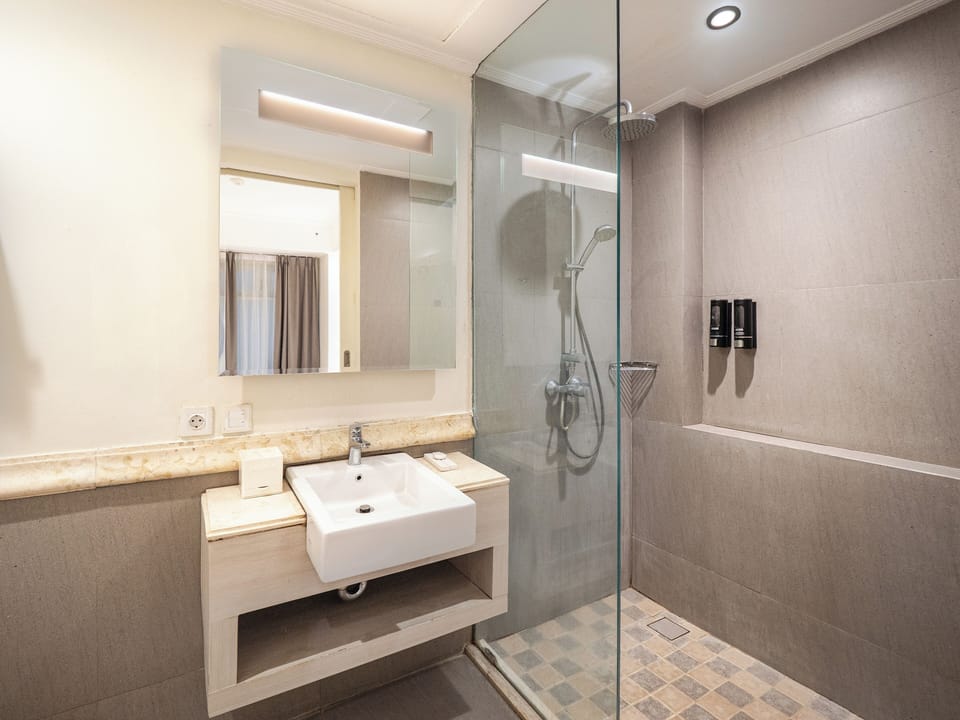 Shower, free toiletries, hair dryer, bidet