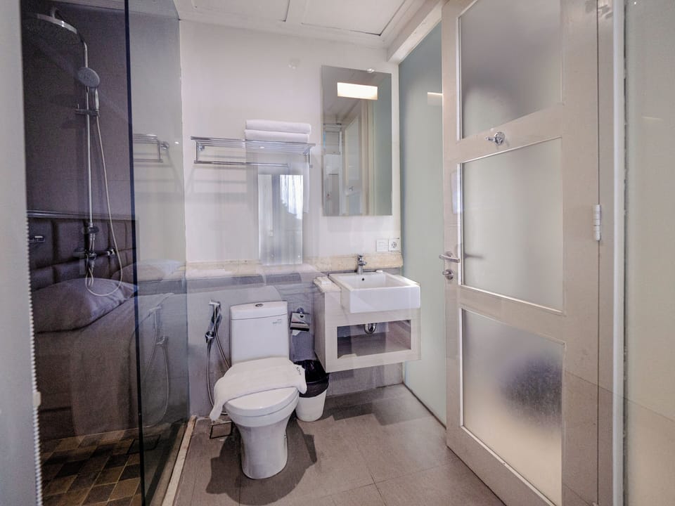 Shower, free toiletries, hair dryer (on request), bidet