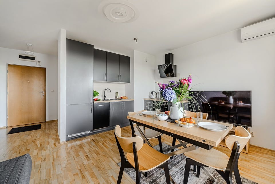 Deluxe Apartment | Living room | 42-inch LCD TV with cable channels, TV