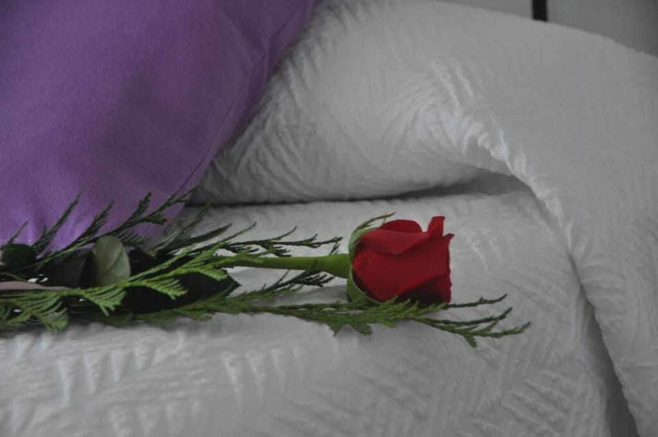 Deluxe Double Room | Minibar, WiFi (free), bed sheets