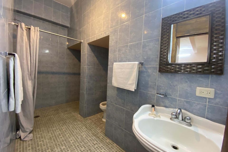 Standard Double Room | Bathroom | Hair dryer (on request), towels, soap, shampoo