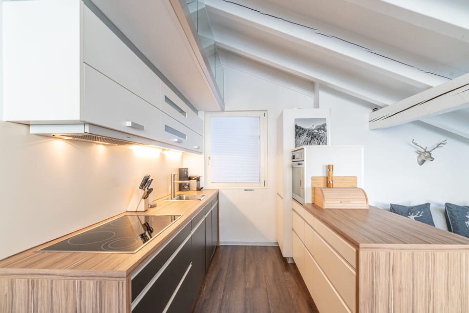 Full-size fridge, oven, stovetop, dishwasher