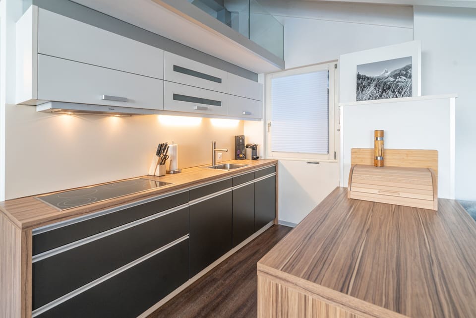 Full-size fridge, oven, stovetop, dishwasher