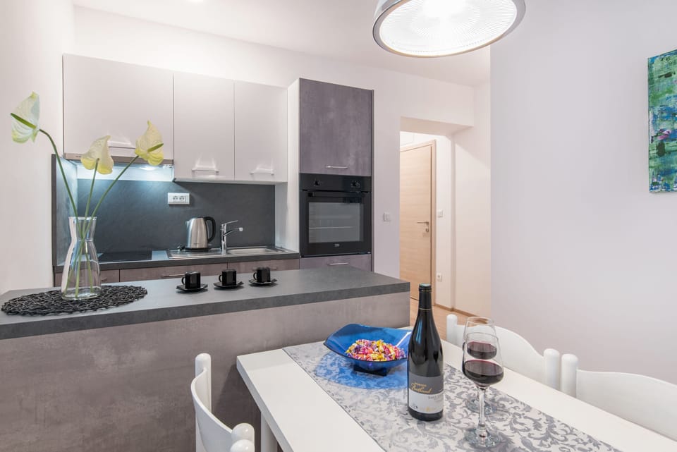 Comfort Apartment, 1 Bedroom, Balcony, Courtyard View | Private kitchen | Fridge, electric kettle, blender, cleaning supplies