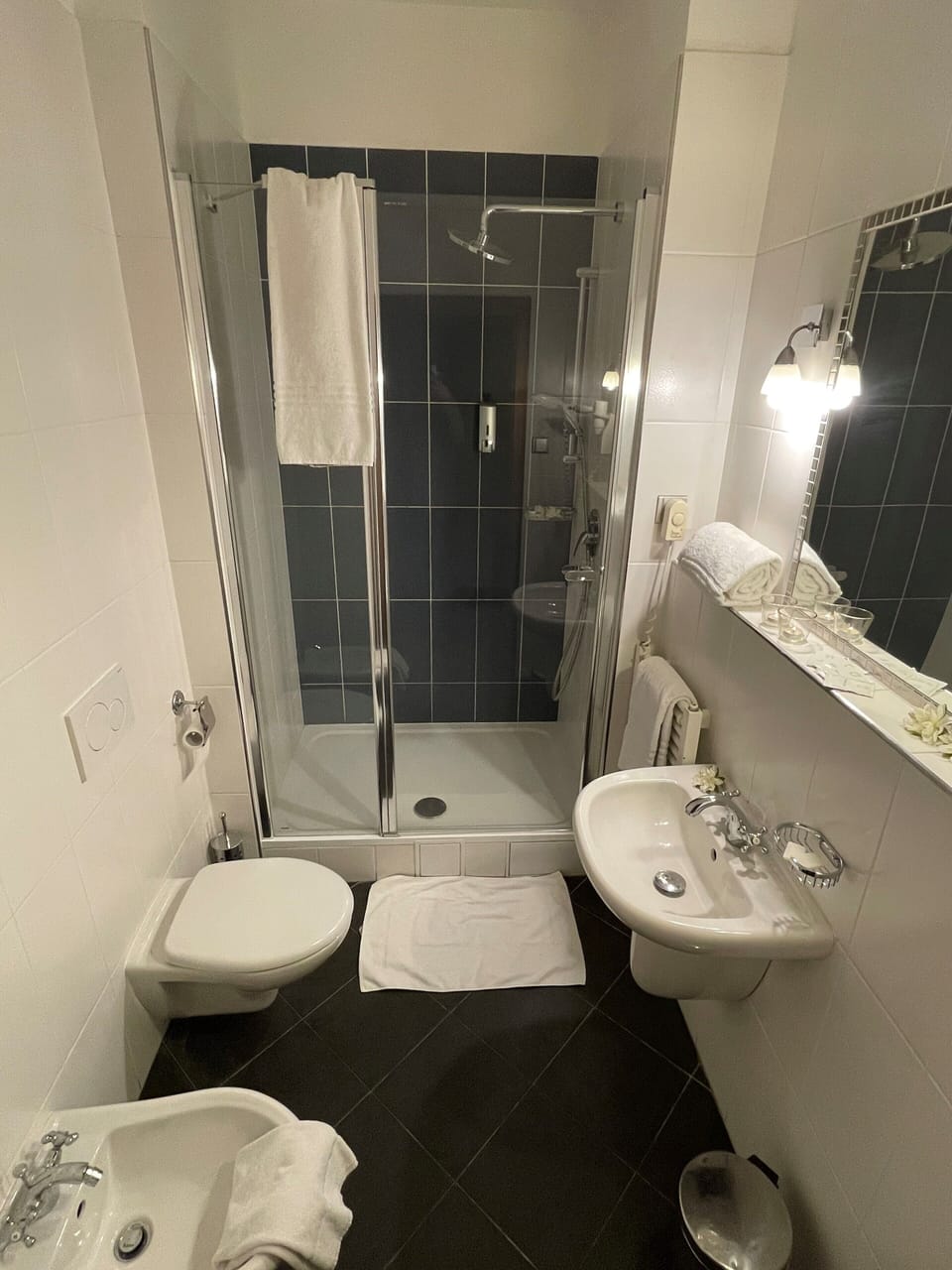 Hair dryer, bidet, towels, soap