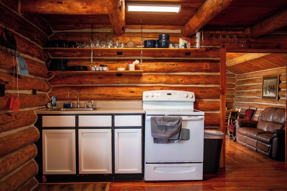 Premier Cabin, 3 Bedrooms, Balcony, Mountain View | Private kitchen | Microwave, coffee/tea maker