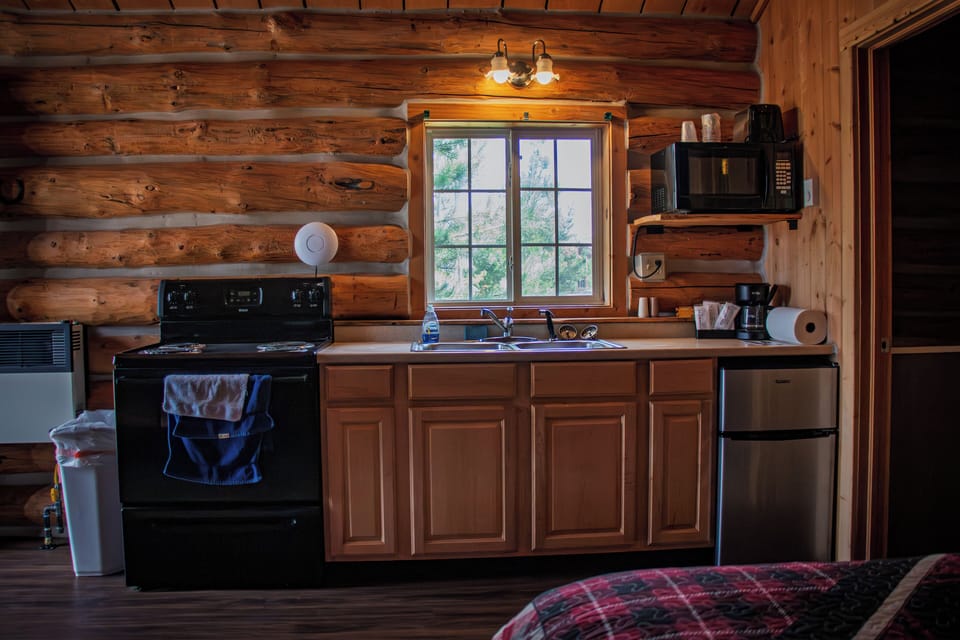 Deluxe Cabin, 1 Bedroom, Patio, Mountain View | Private kitchen | Microwave, coffee/tea maker