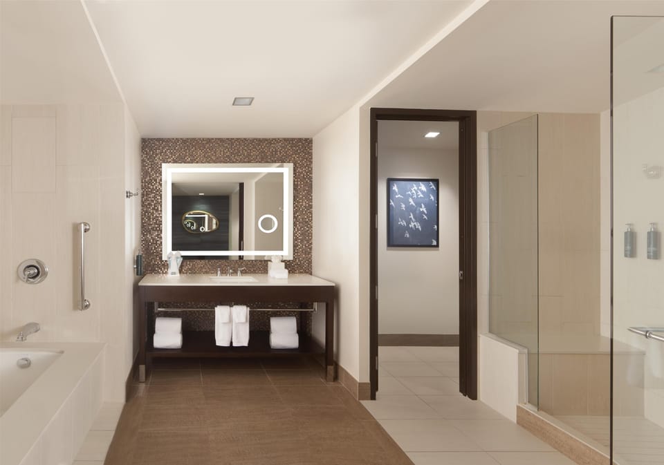 Deluxe Studio, 1 King Bed, Non Smoking (Large) | Bathroom shower