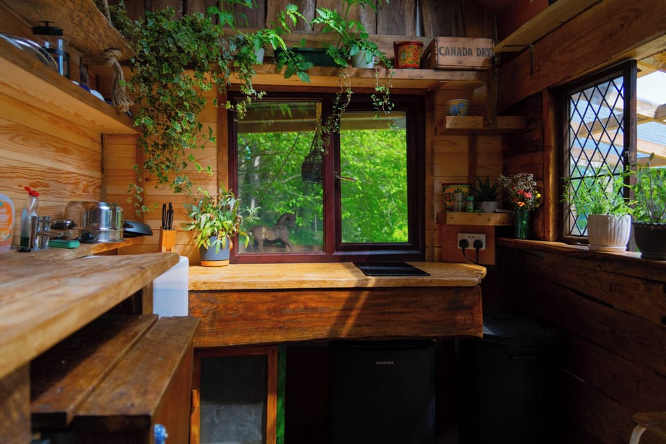 Cabin | Private kitchen | Fridge, microwave, stovetop, electric kettle
