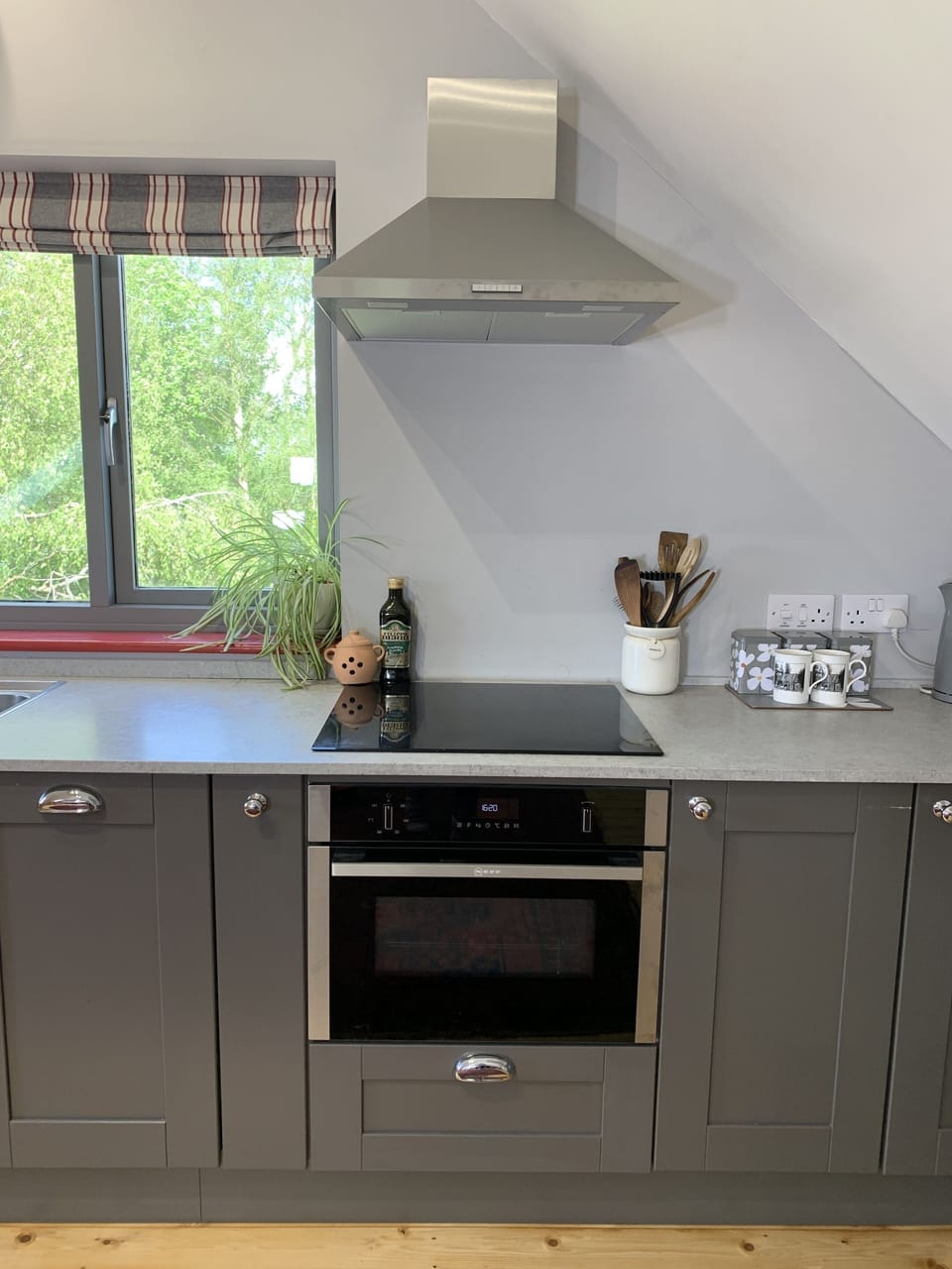 Apartment, Ensuite (Dragon Nest) | Private kitchen