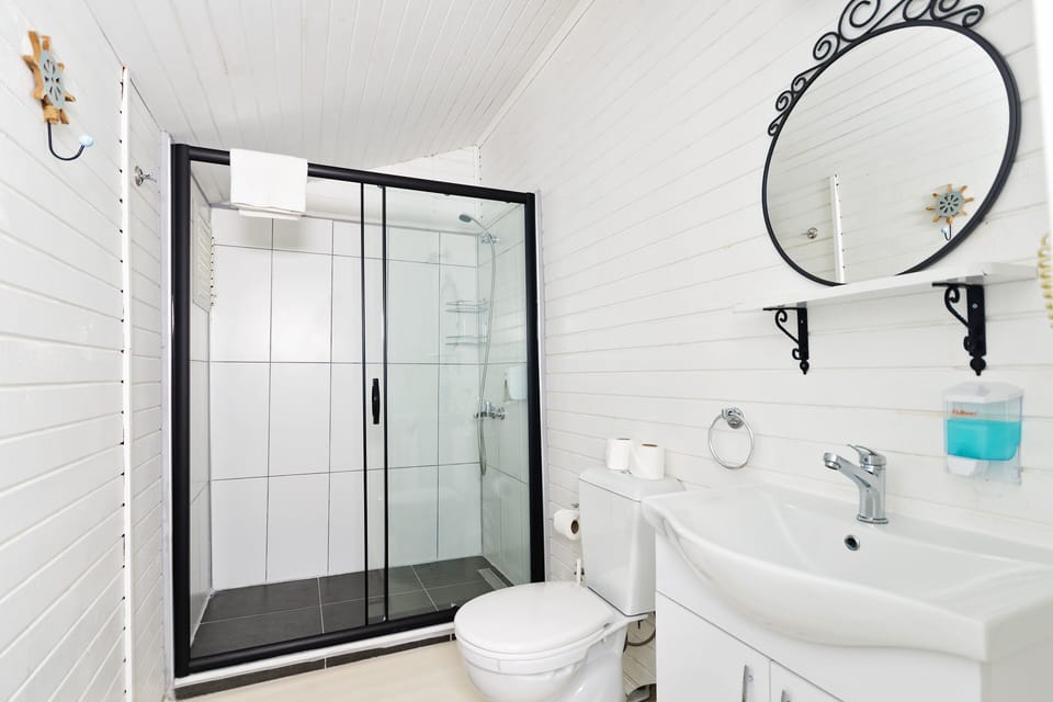 Cleanliness standards