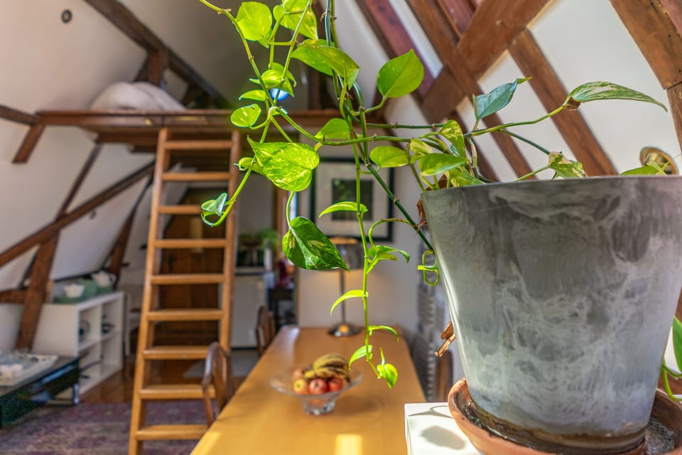 Family Room | Minibar, iron/ironing board, free WiFi, bed sheets