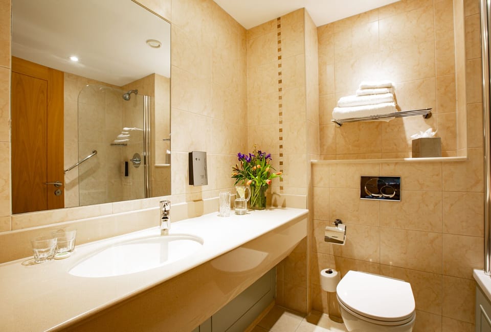 Executive Twin Room | Bathroom | Free toiletries, hair dryer, towels