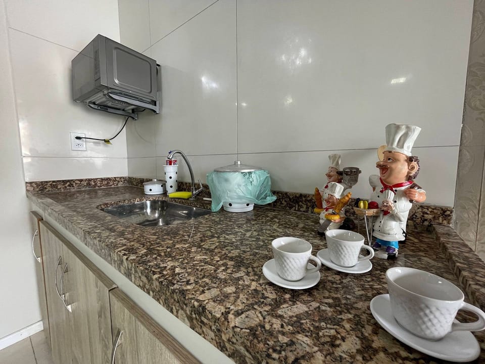 Microwave, stovetop, toaster, blender