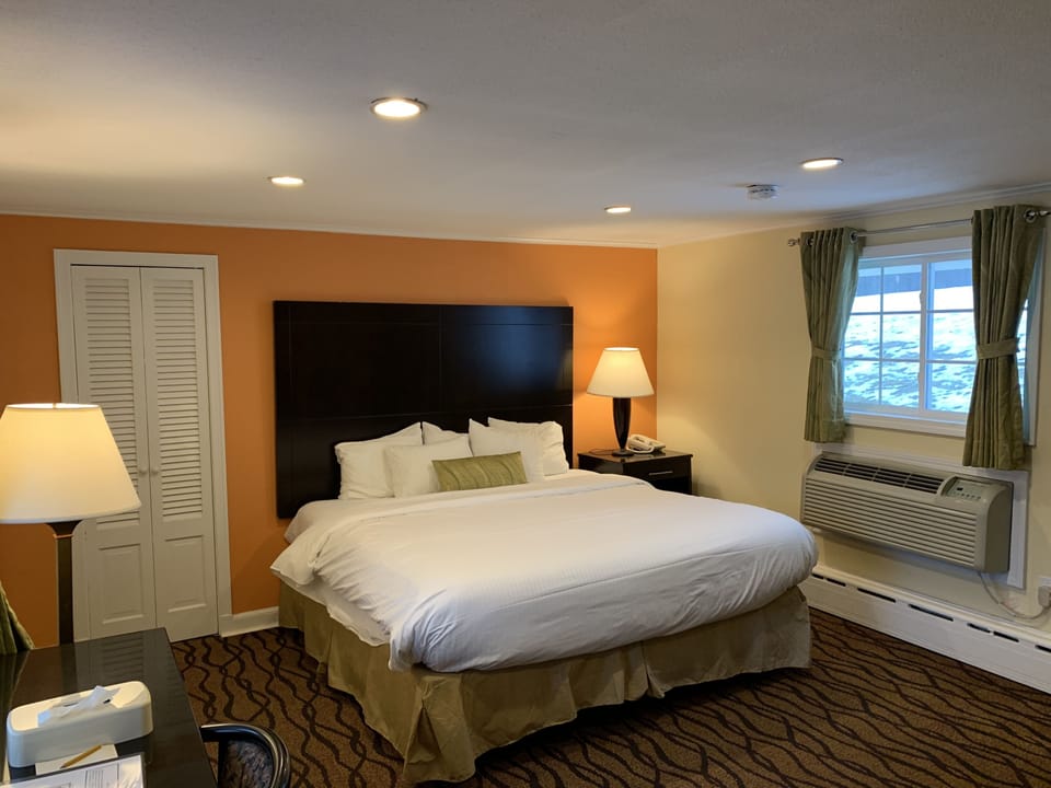 Standard Room, 1 King Bed | View from room