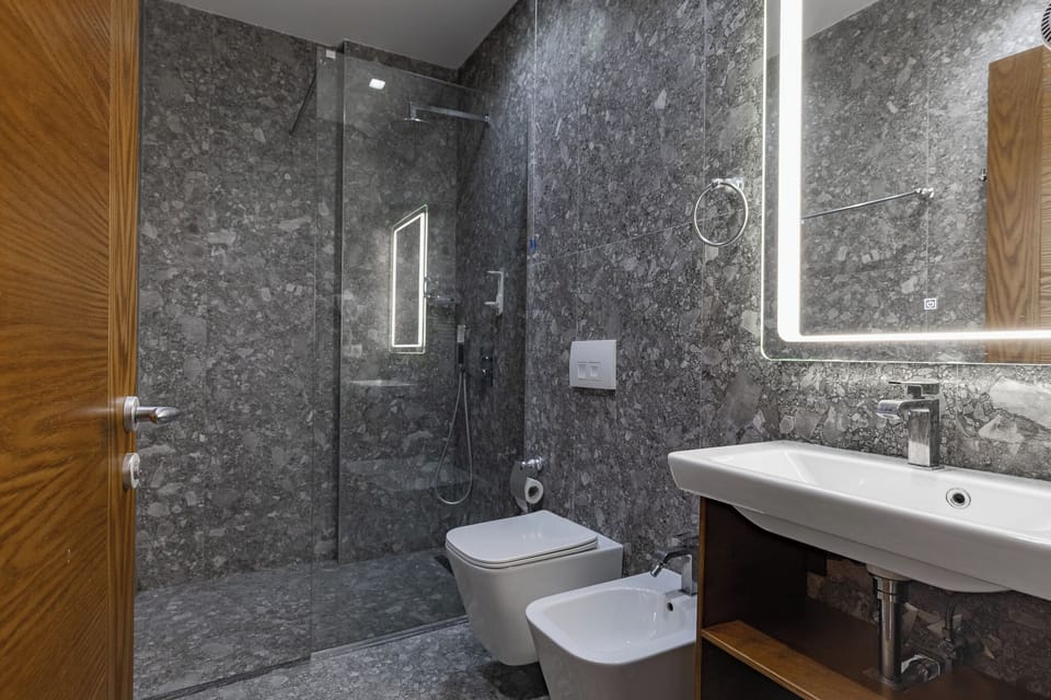 Shower, free toiletries, hair dryer, bidet