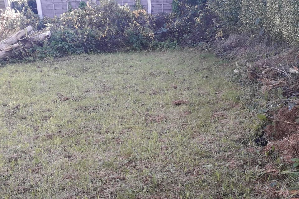 House | Property grounds