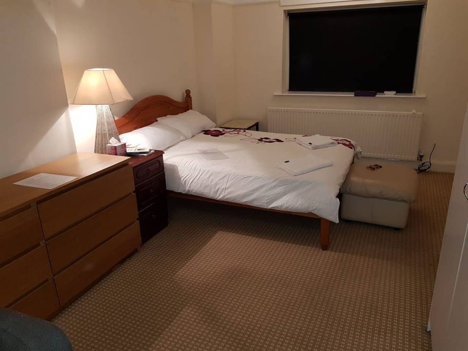 Business Double Room, 1 Double Bed, Non Smoking | Memory foam beds, blackout drapes, iron/ironing board, free WiFi