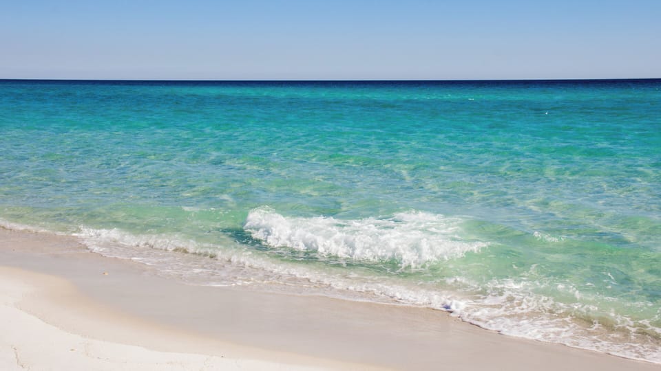 Gulf View Balconies! 3 Story Townhome With 4 Bedrooms, 4 Bathrooms! Sleeps 12 House in Sunnyside