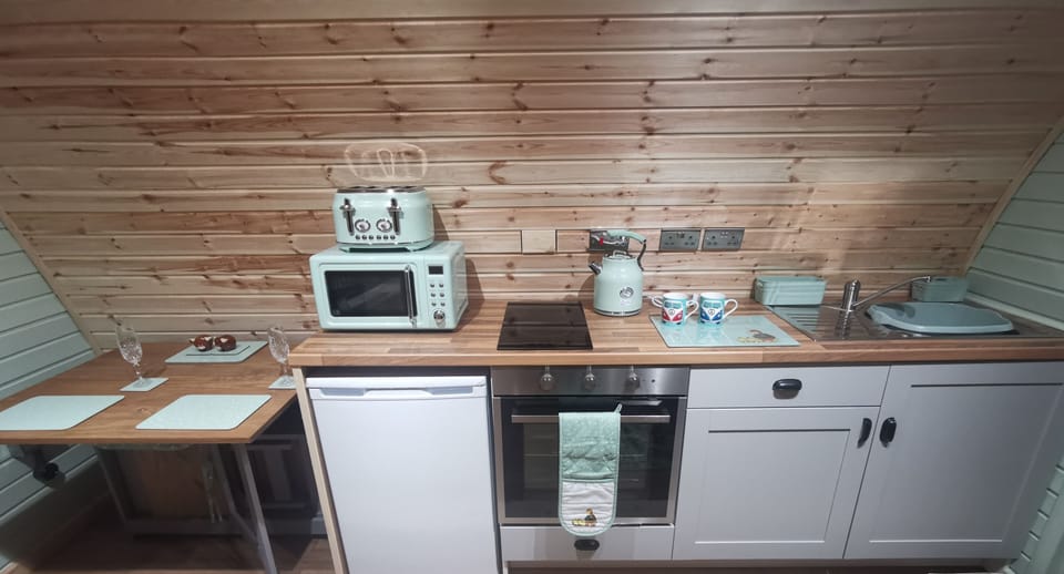 Cabin | Private kitchen | Fridge, microwave, oven, stovetop