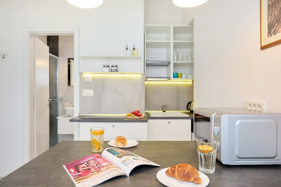 Apartment (2 Bedrooms) | Private kitchen | Microwave, stovetop, toaster