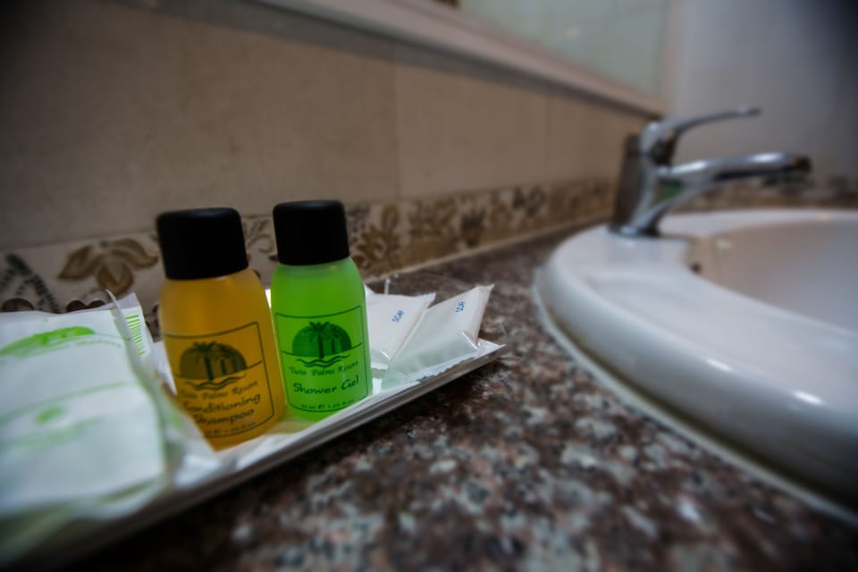 Shower, free toiletries, hair dryer, bidet