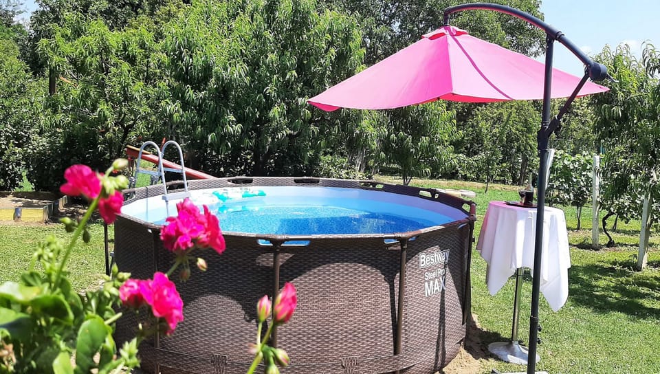 Apartment (Two Bedroom Apartment with Terrace) | Pool | Outdoor pool, pool umbrellas, sun loungers