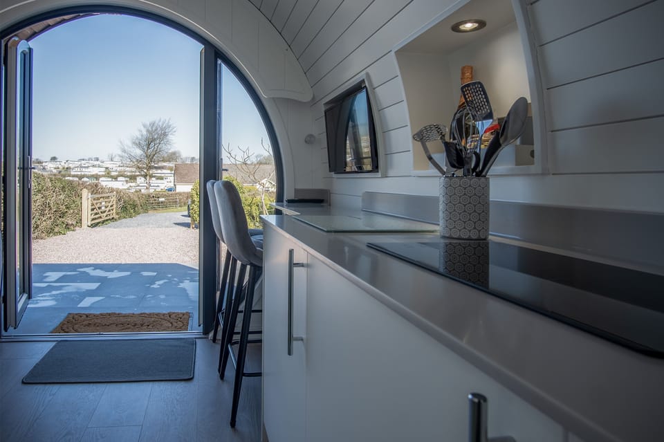 Apartment (1 Bedroom) | Private kitchen | Fridge, microwave, stovetop, electric kettle