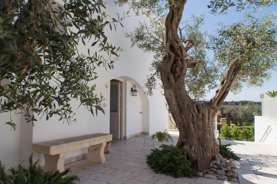 Comfort Double Room | Exterior