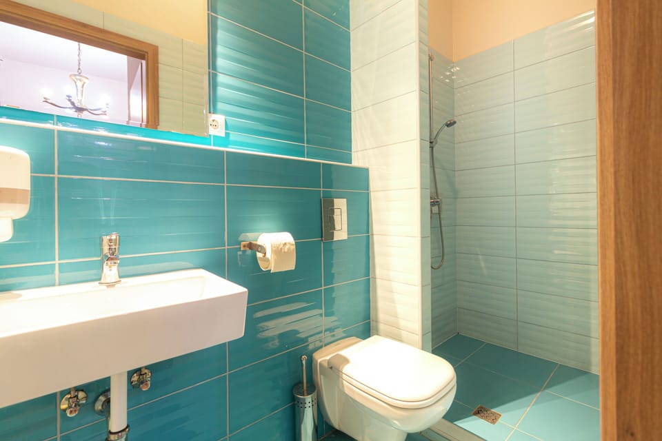 Basic Triple Room | Bathroom | Towels