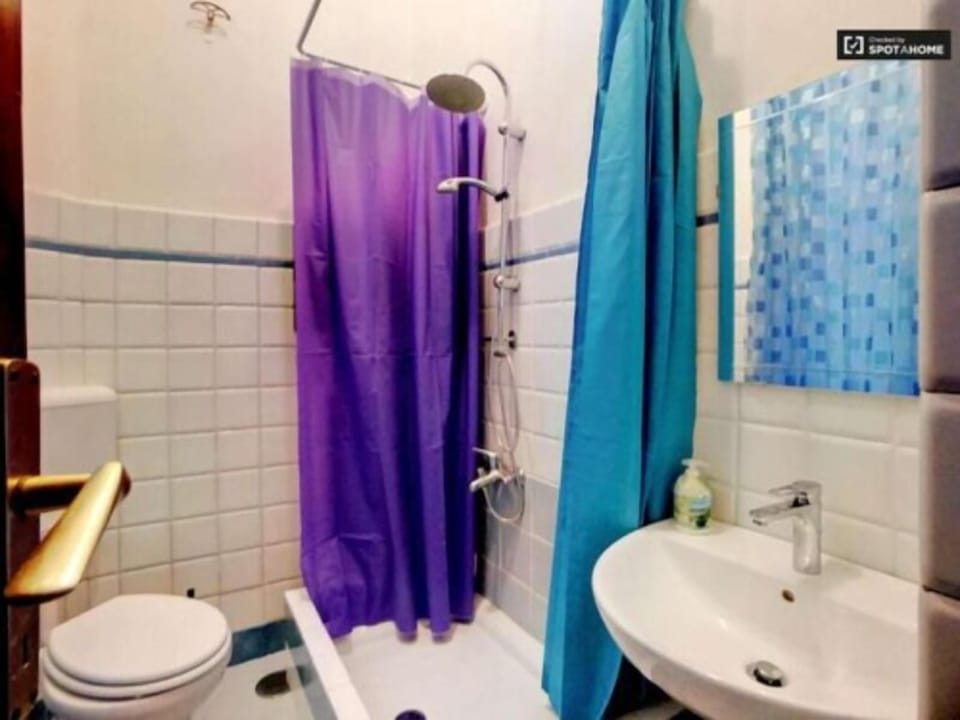 Shower, hair dryer