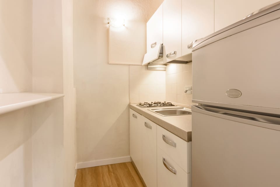 Comfort Apartment | Private kitchen | Fridge, stovetop, coffee grinder, cookware/dishes/utensils